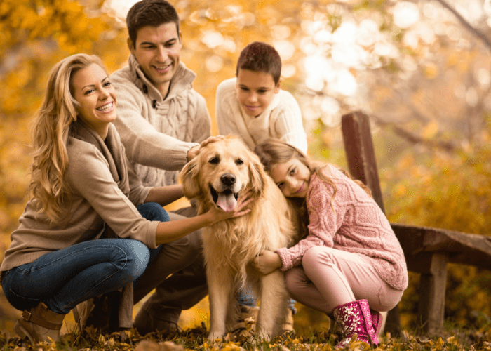 Term Life vs Whole Life: Which is Best?